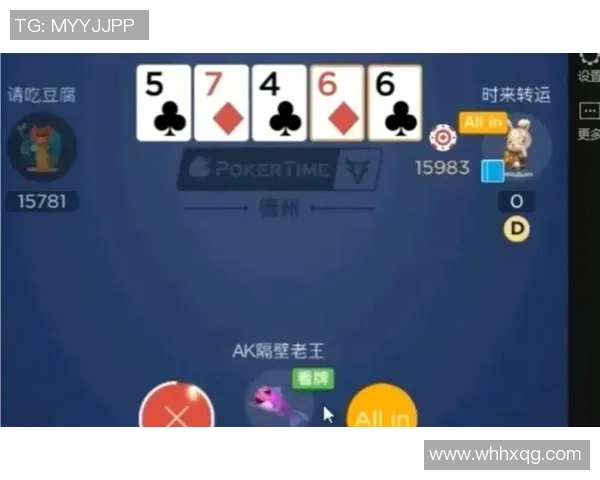 德州扑克偷鸡技巧揭秘：如何精准把握最佳时机与窗口